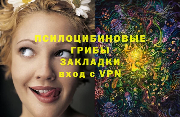 mdpv Алексин