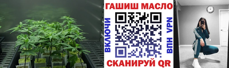 как найти   Лениногорск  гидра   ТГК концентрат 