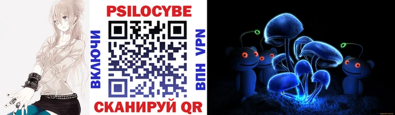 kraken зеркало Лениногорск Псилоцибиновые грибы Psilocybe
